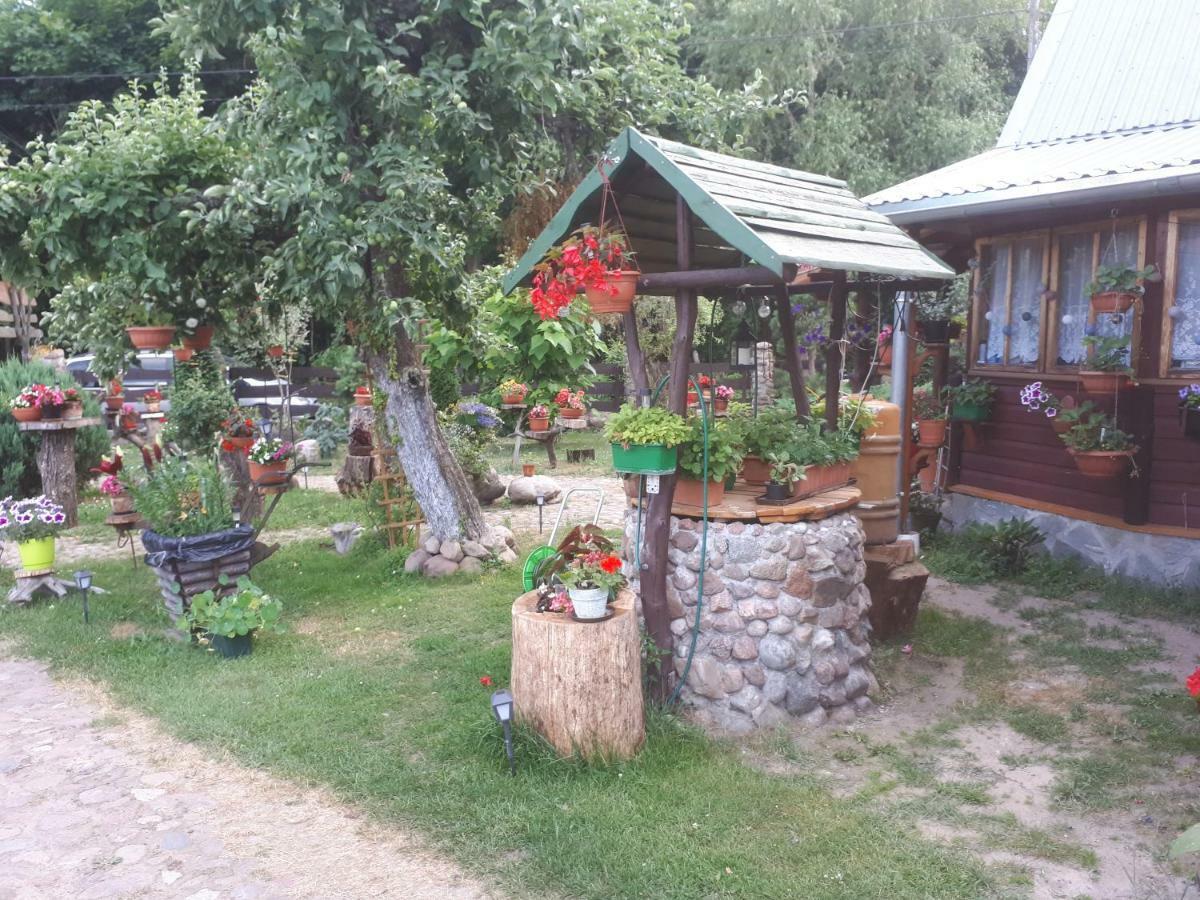 דירות Białowieża Olsik מראה חיצוני תמונה